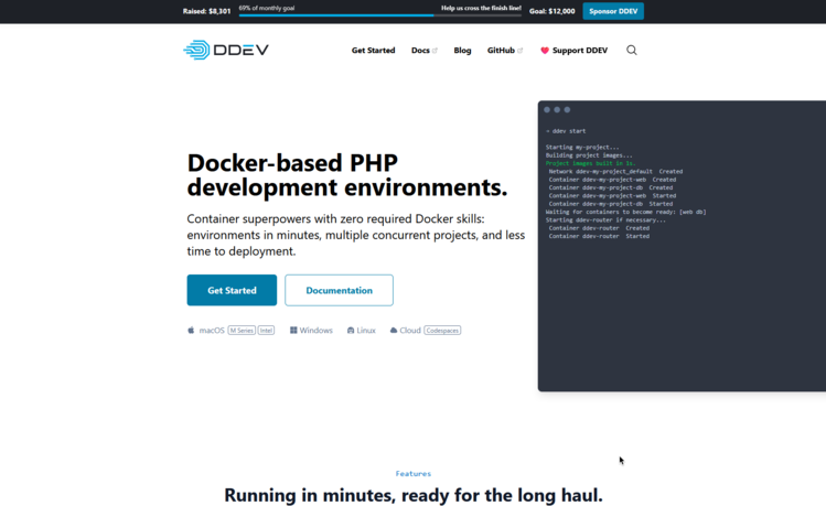 A screenshot of the ddev website homepage